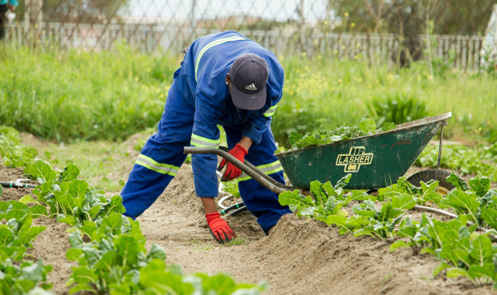 Landscapers are the fittest tradespeople, according to a study